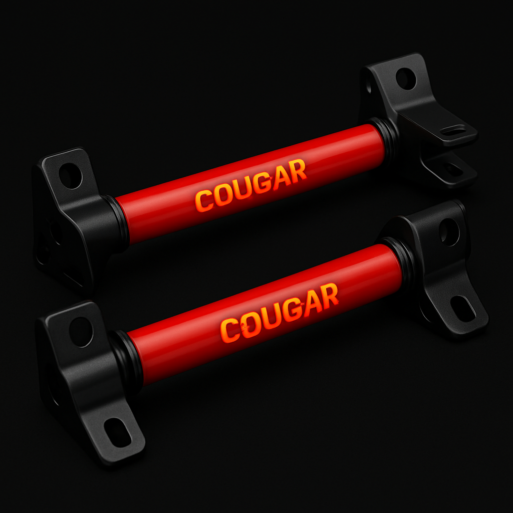 Rear Twin Bar
